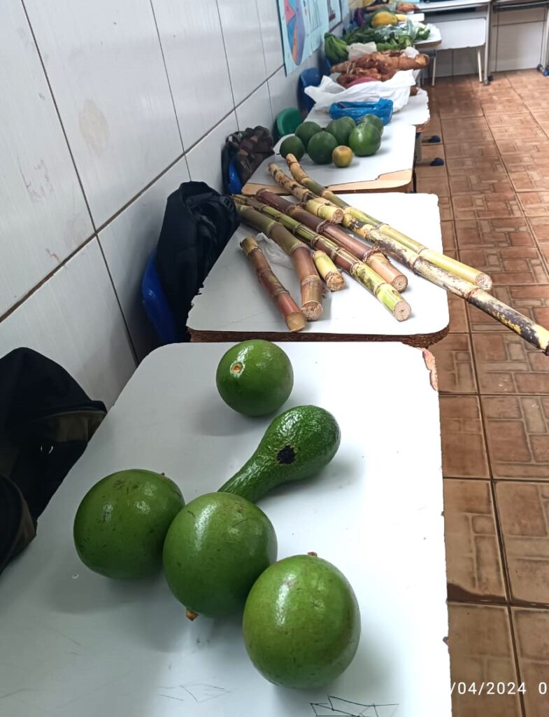 Semana dos povos indígenas enaltece diversidade cultural em Amambai Semana dos povos indígenas enaltece diversidade cultural em Amambai