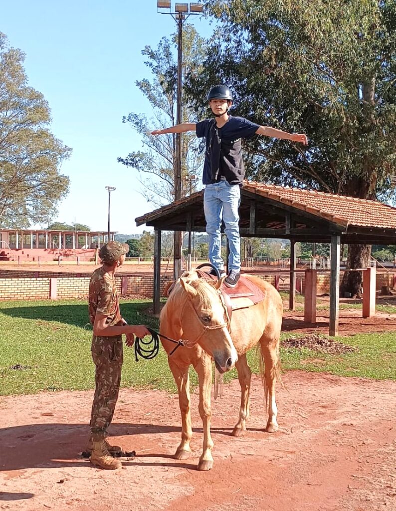 Transformando vidas através da equoterapia