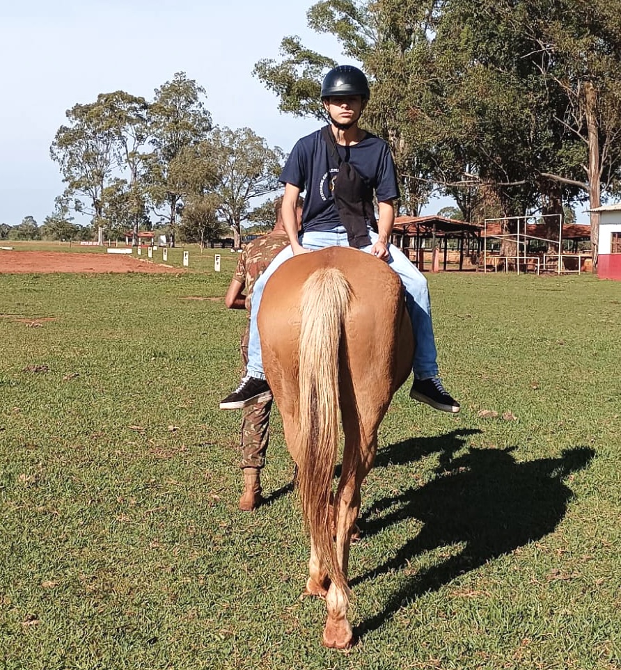 Transformando vidas através da equoterapia
