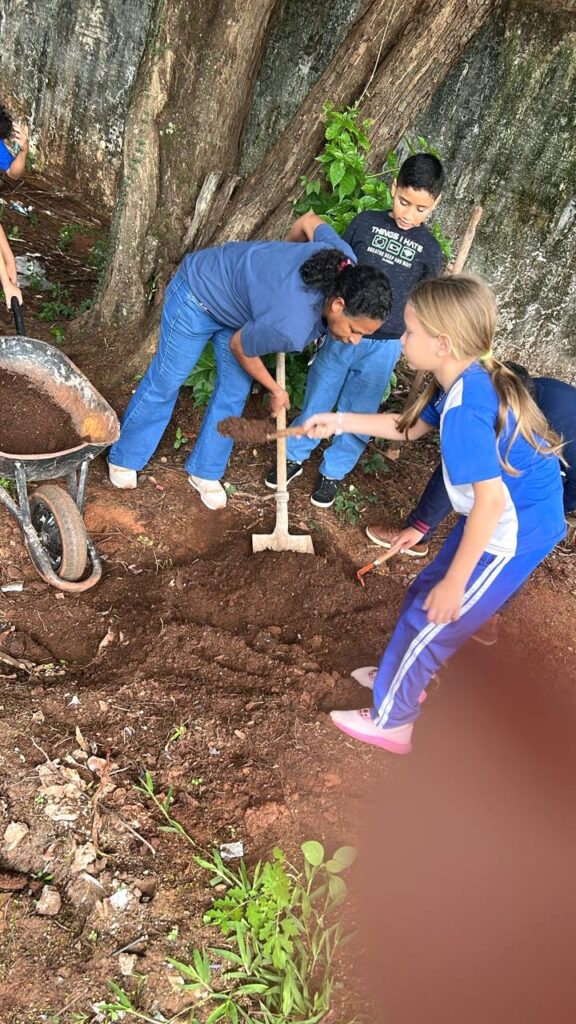 Projeto Horta na Escola incentiva consciência ambiental
