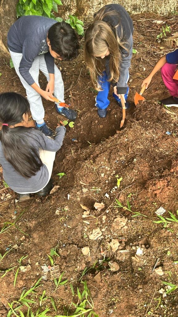 Projeto Horta na Escola incentiva consciência ambiental