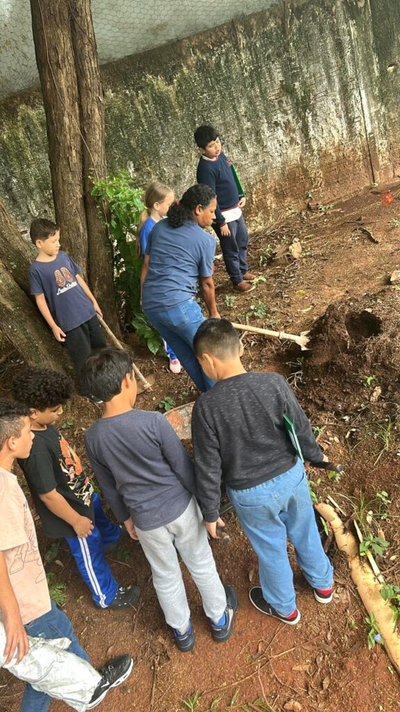 Projeto Horta na Escola incentiva consciência ambiental