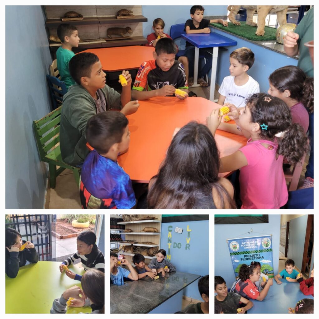 Projeto Florestinha promove semana de valorização da cultura indígena em Amambai