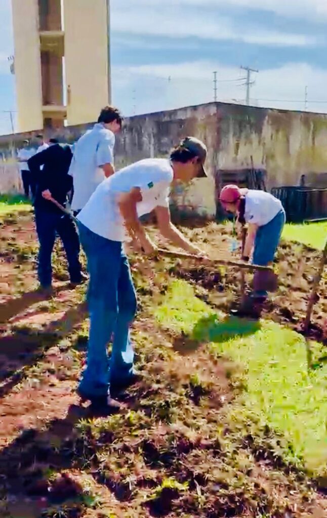 Alunos do IFMS de Amambai desenvolvem horta escolar em atividade prática Alunos do IFMS de Amambai desenvolvem horta escolar em atividade prática