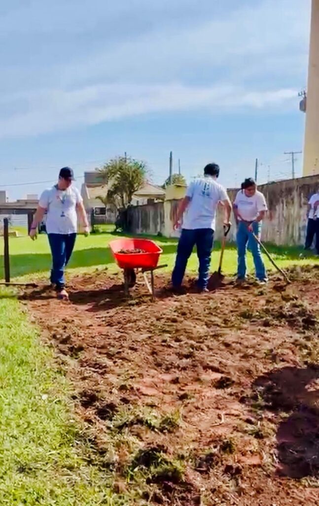 Alunos do IFMS de Amambai desenvolvem horta escolar em atividade prática Alunos do IFMS de Amambai desenvolvem horta escolar em atividade prática