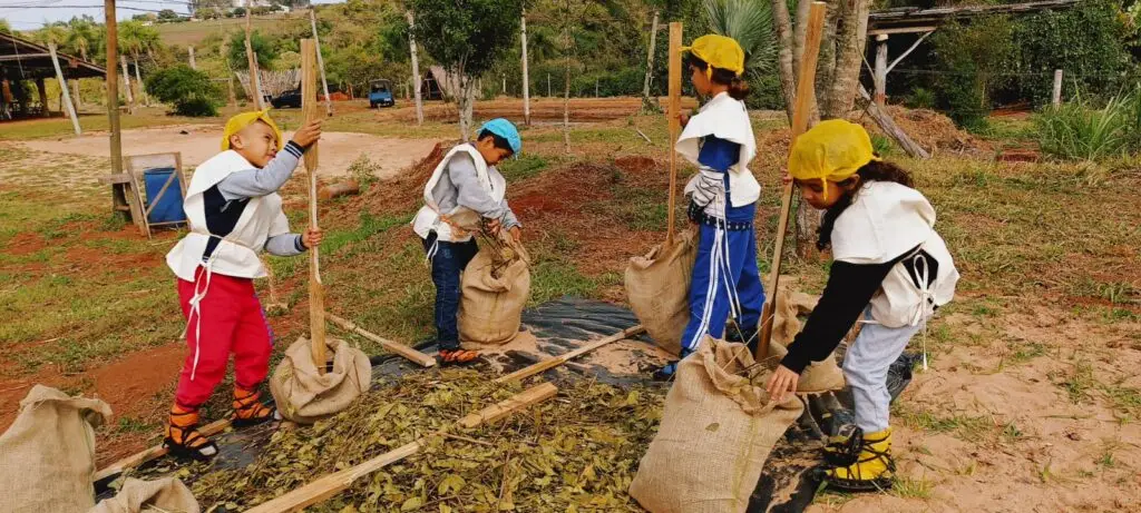 Projeto Mensú Michimi