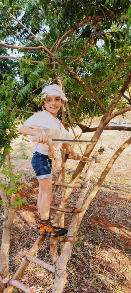 Projeto Mensú Michimi