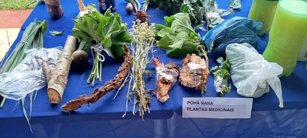 Trabalho desenvolvido no mês de abril referente à Semana dos Povos Indígenas na Escola Municipal Mbo’erenda Ypyendy