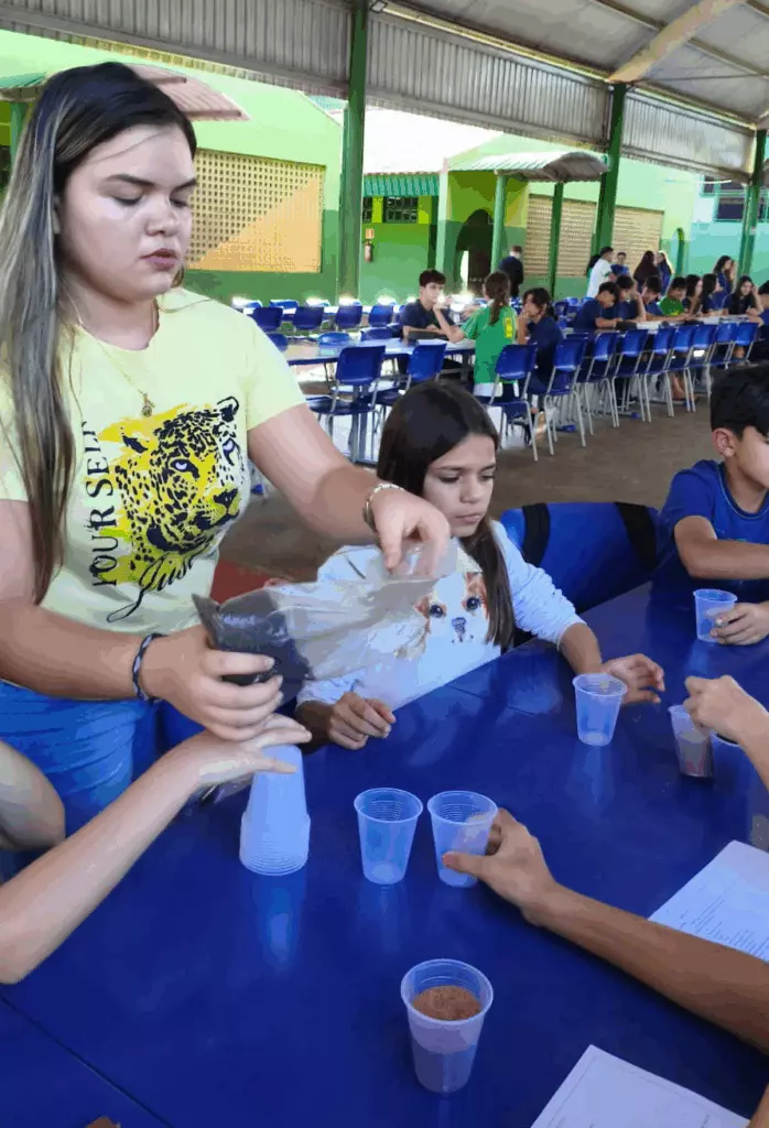 Rochas, Ciência e Diversão: Aprendizagem “Mão na Massa” Aproxima Teoria da Realidade Rochas, Ciência e Diversão: Aprendizagem “Mão na Massa” Aproxima Teoria da Realidade