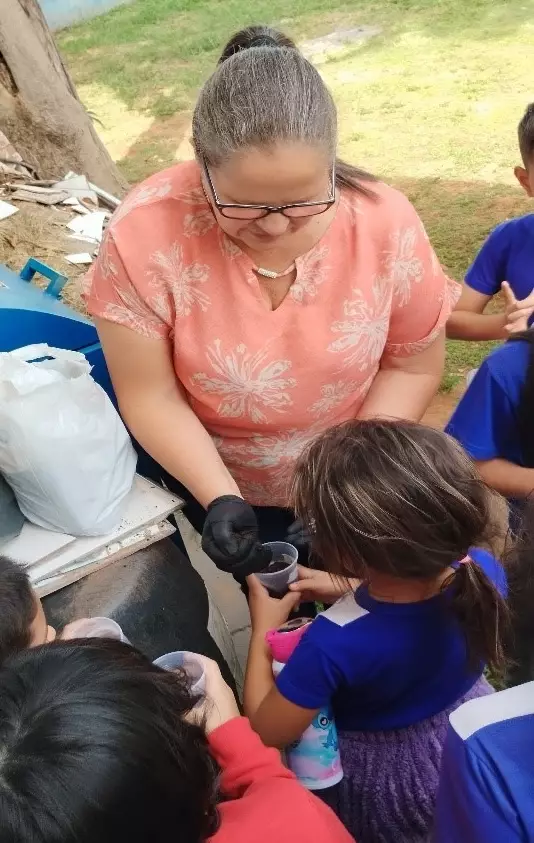 Ciência na prática: alunos do 2º ano plantam girassóis Ciência na prática: alunos do 2º ano plantam girassóis