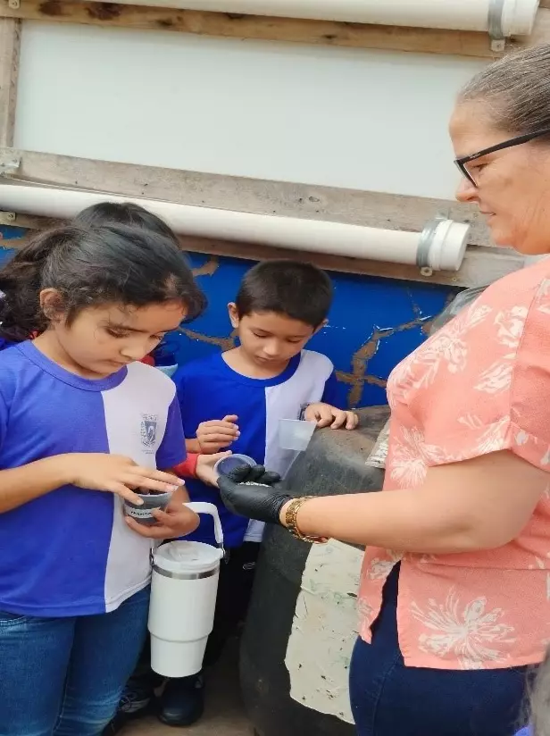 Ciência na prática: alunos do 2º ano plantam girassóis Ciência na prática: alunos do 2º ano plantam girassóis