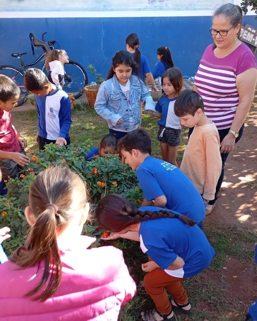 Ciência na prática: alunos do 2º ano plantam girassóis Ciência na prática: alunos do 2º ano plantam girassóis