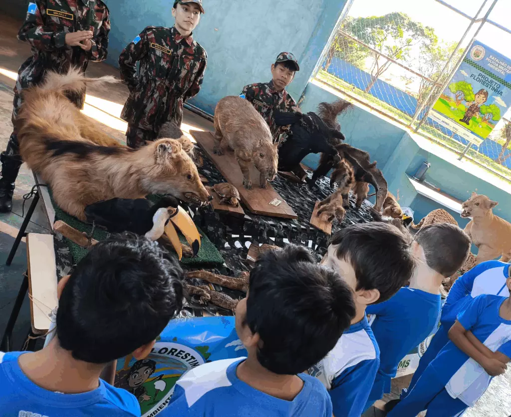 Educação Ambiental em Destaque: Escola Promove Exposição para Conscientização Ecológica