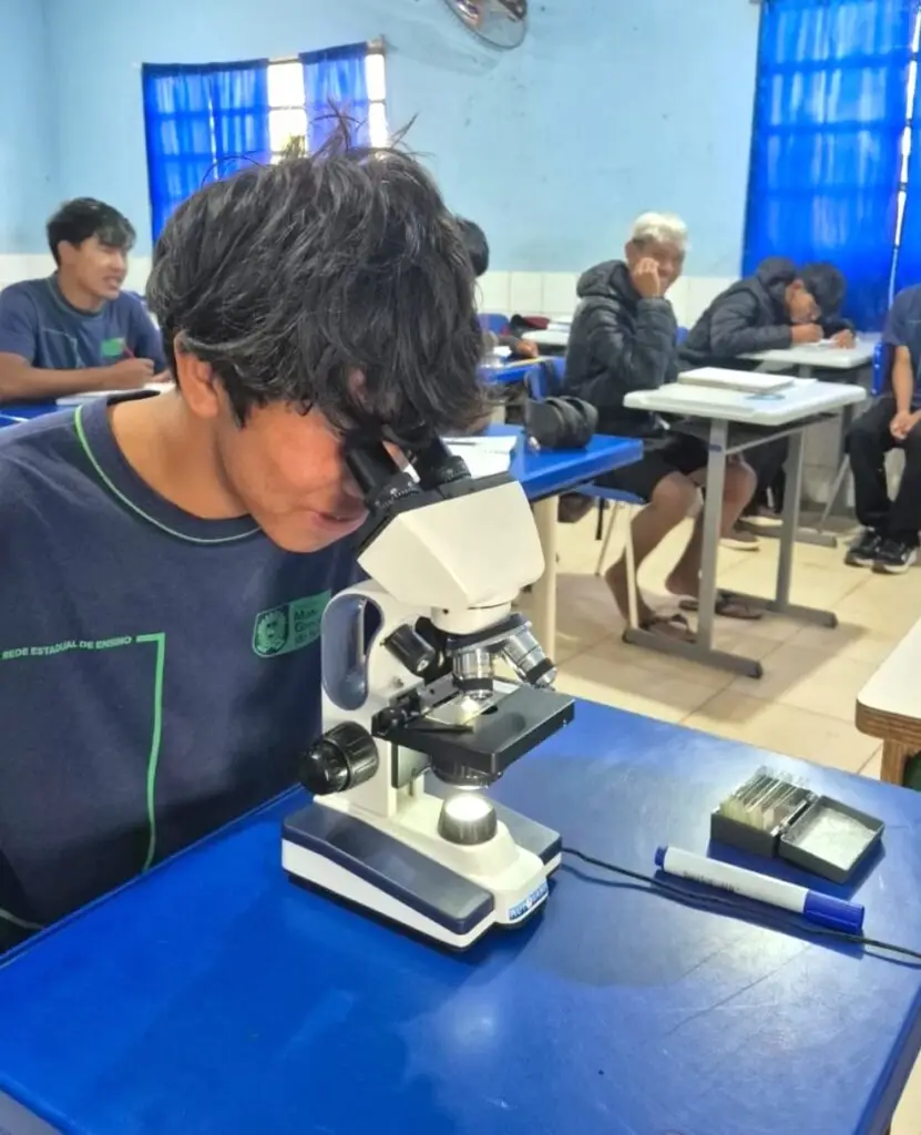 Saberes Ancestrais e Futuro Profissional: A Revolução nas Escolas Indígenas Saberes Ancestrais e Futuro Profissional: A Revolução nas Escolas Indígenas